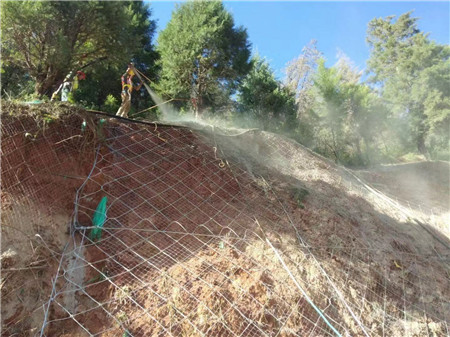 主動(dòng)防護(hù)網(wǎng)