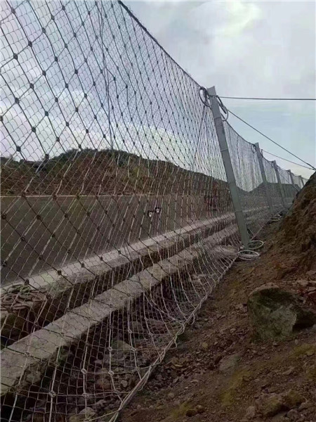 被動防護網(wǎng)